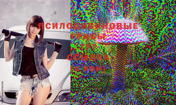 герыч Аркадак