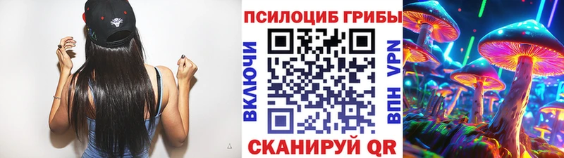 купить наркоту Гатчина это формула Галлюциногенные грибы Psilocybe блэк спрут ссылки
